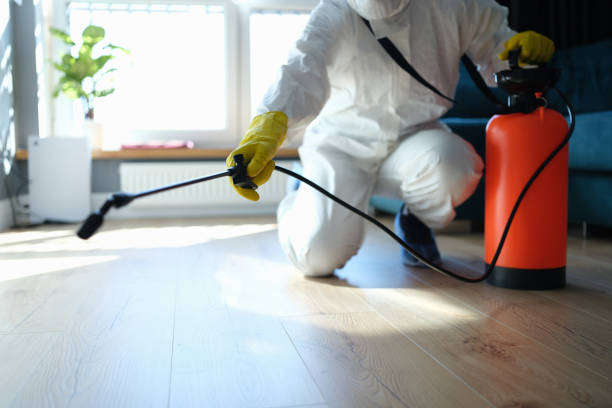 Reliable Odor Removal contractor in Winchester, MO by Trauma Clean Pros